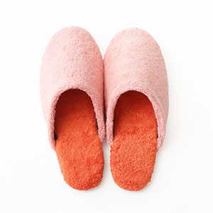 アプリコット×チェリーブロッサム