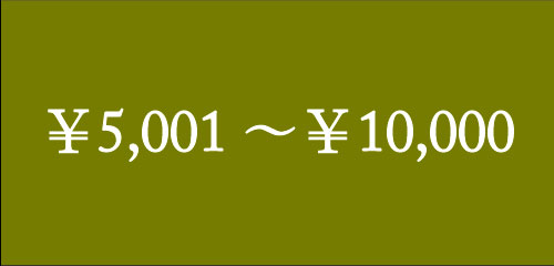 ￥5,001~￥10,000