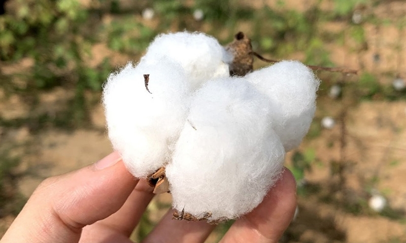 タオルのこだわり